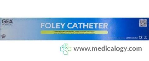 GEA Folley Catheter 2Way Gold No.18 10ea