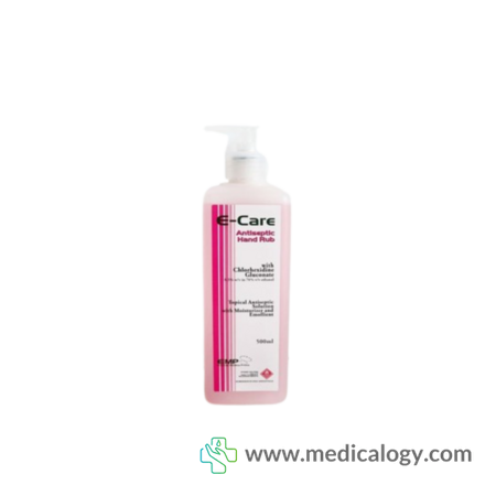 harga E Care Antiseptic Hand Rub 500 ml