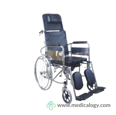 harga Kursi Roda 3 in 1 Sellaco Multifungsi DY02608