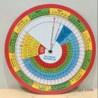 Kalender Kehamilan Putar per Pcs