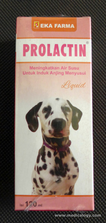 20++ Anjing dalmatian harga new